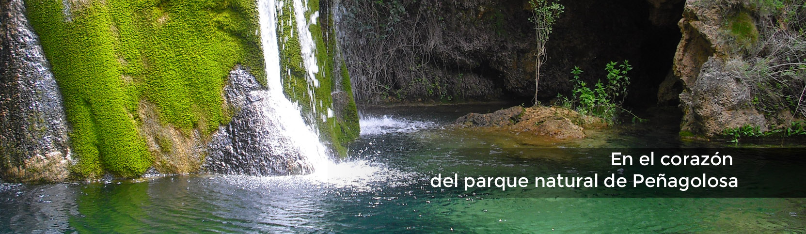 Productos Naturnua